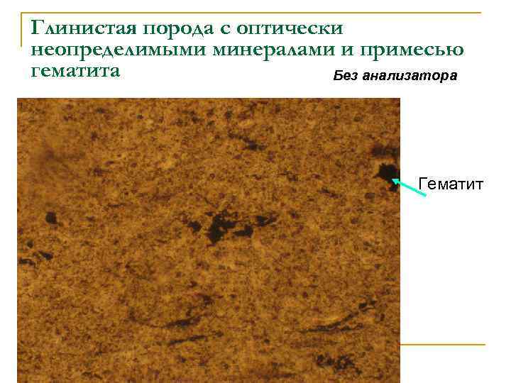 Глинистая порода с оптически неопределимыми минералами и примесью гематита Без анализатора Гематит 