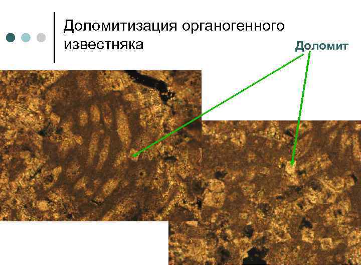 Доломитизация органогенного известняка Доломит 
