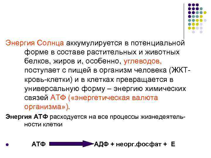 Энергия Солнца аккумулируется в потенциальной форме в составе растительных и животных белков, жиров и,