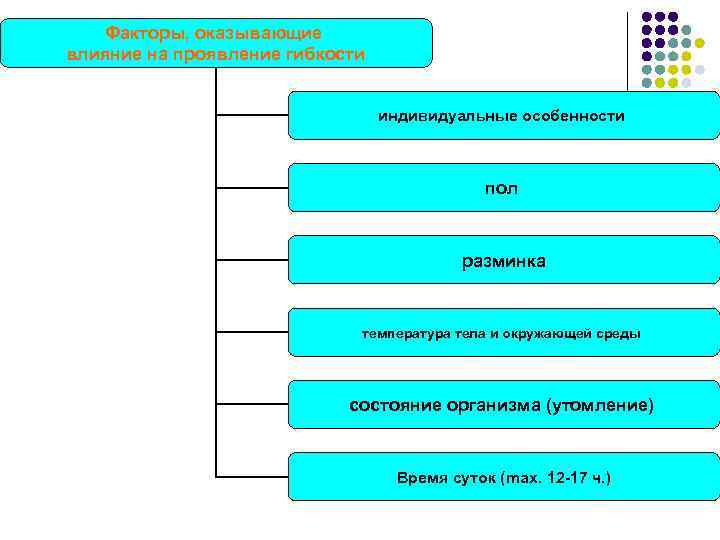 Факторы, оказывающие влияние на проявление гибкости индивидуальные особенности пол разминка температура тела и окружающей