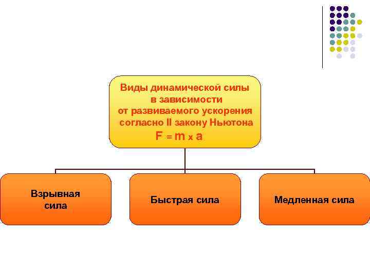 Виды силы человека. Виды динамической силы. Разновидности динамической си. Разновидности динамической силы в физкультуре. Виды силы динамическая статическая.