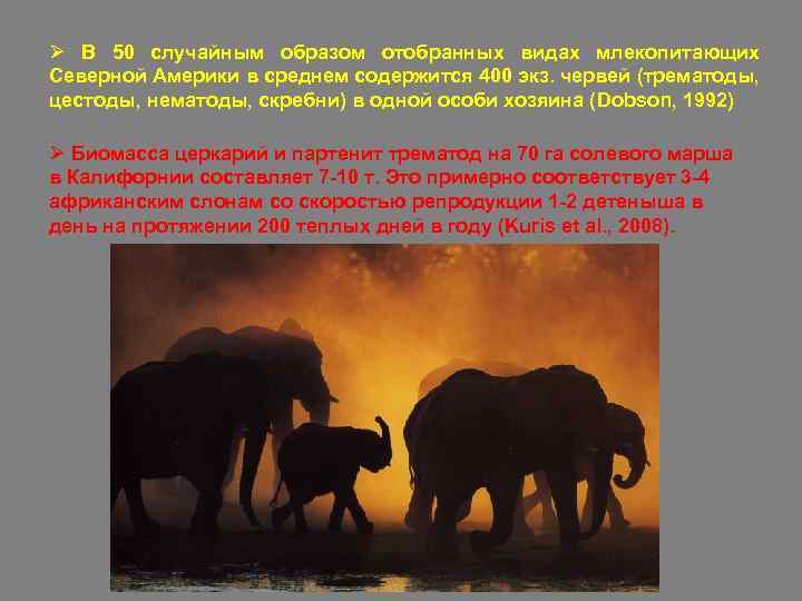 Ø В 50 случайным образом отобранных видах млекопитающих Северной Америки в среднем содержится 400
