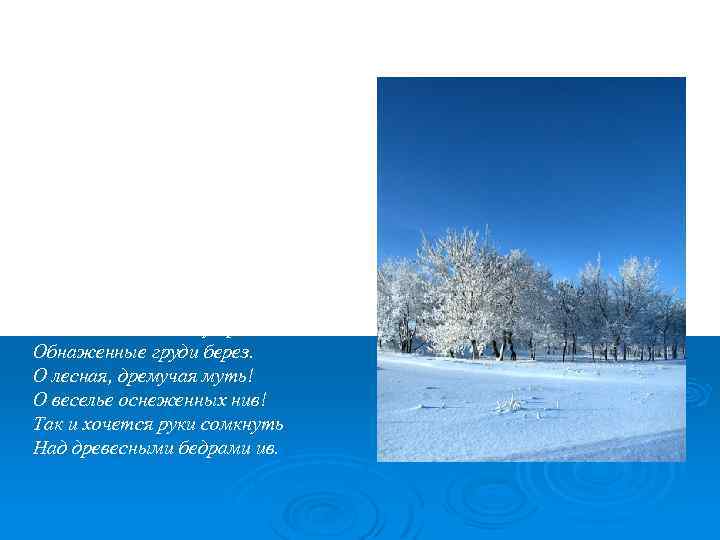 Я по первому снегу бреду, В сердце ландыши вспыхнувших сил. Вечер синею свечкой звезду