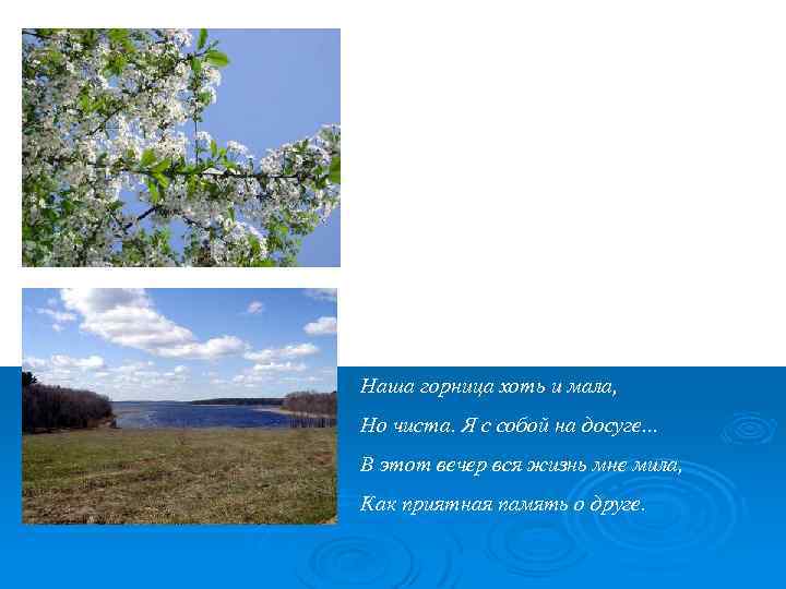 Синий май. Заревая теплынь. Не прозвякнет кольцо у калитки. Липким запахом веет полынь. Спит