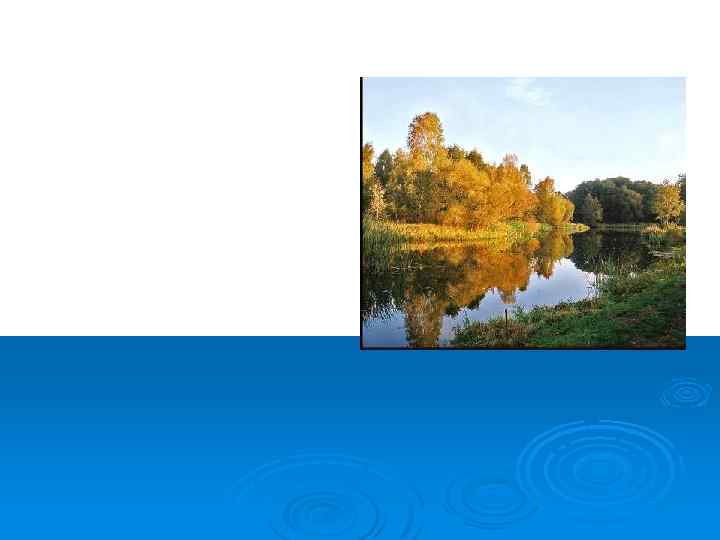 Закружилась листва золотая В розоватой воде на пруду, Словно бабочек легкая стая С замираньем