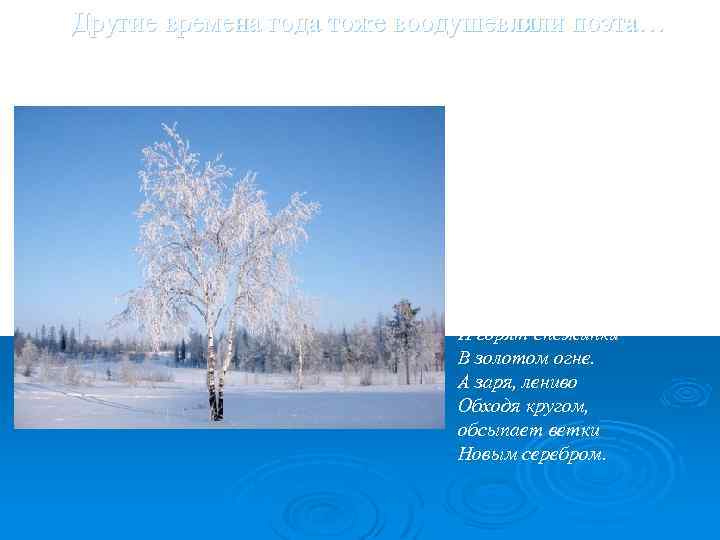 Другие времена года тоже воодушевляли поэта… Белая береза Под моим окном Принакрылась снегом, Точно