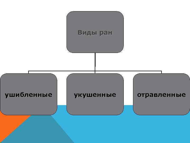 Виды ран ушибленные укушенные отравленные 