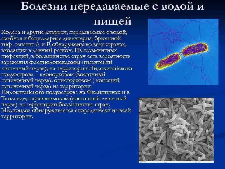 Болезни передаваемые с водой и пищей Холера и другие диарреи, передаваемые с водой, амебная