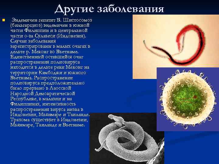 Другие заболевания n Эндемичен гепатит В. Шистосомоз (бильгарциоз) эндемичен в южной части Филиппин и
