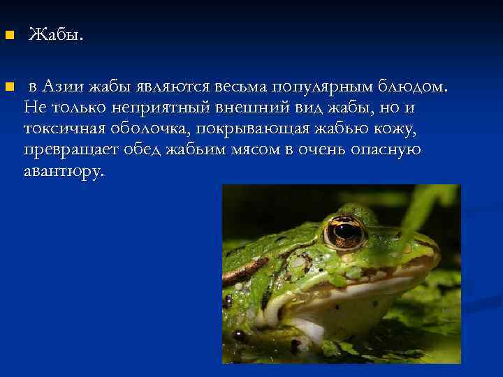 n n Жабы. в Азии жабы являются весьма популярным блюдом. Не только неприятный внешний