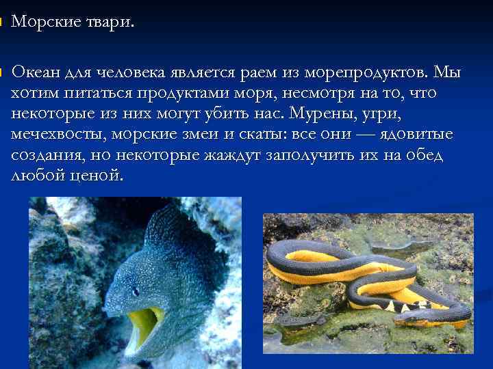 n Морские твари. n Океан для человека является раем из морепродуктов. Мы хотим питаться