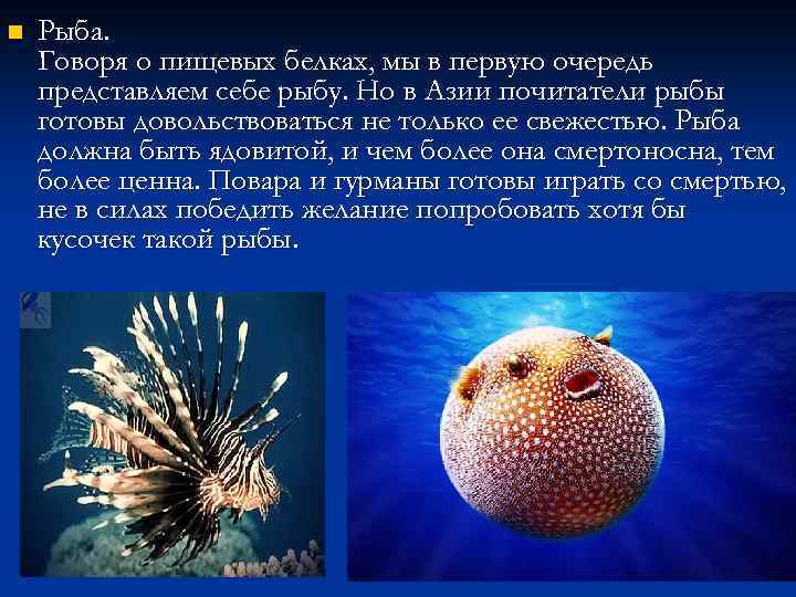 n Рыба. Говоря о пищевых белках, мы в первую очередь представляем себе рыбу. Но