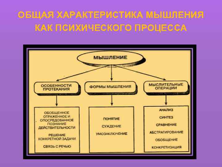 ОБЩАЯ ХАРАКТЕРИСТИКА МЫШЛЕНИЯ КАК ПСИХИЧЕСКОГО ПРОЦЕССА 