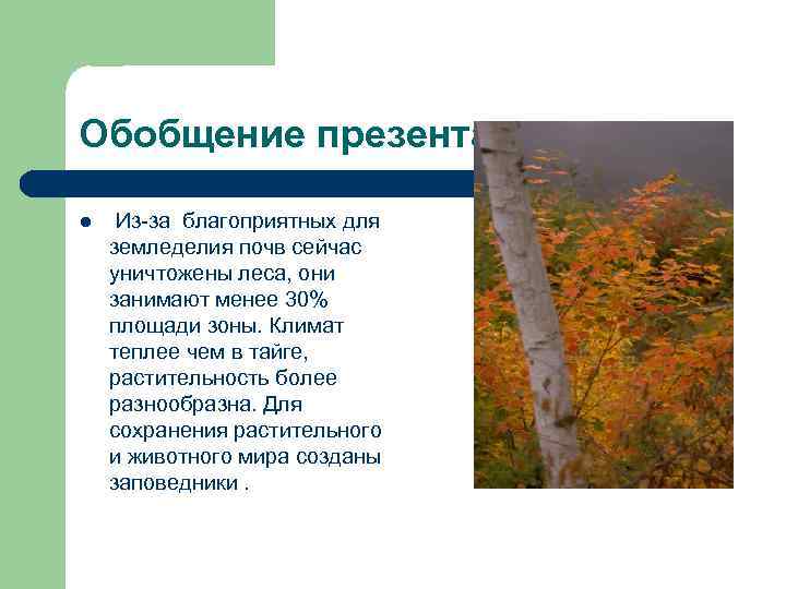 Обобщение презентации: l Из-за благоприятных для земледелия почв сейчас уничтожены леса, они занимают менее