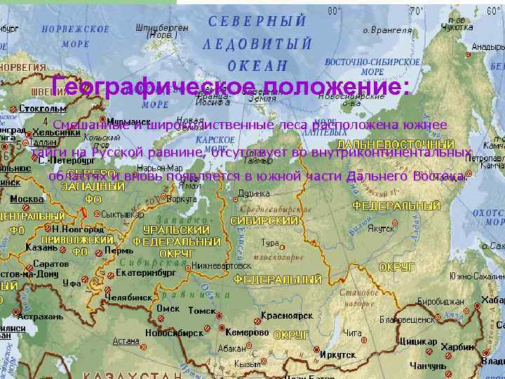 Географическое положение: Смешанные и широколиственные леса расположена южнее тайги на Русской равнине, отсутствует во