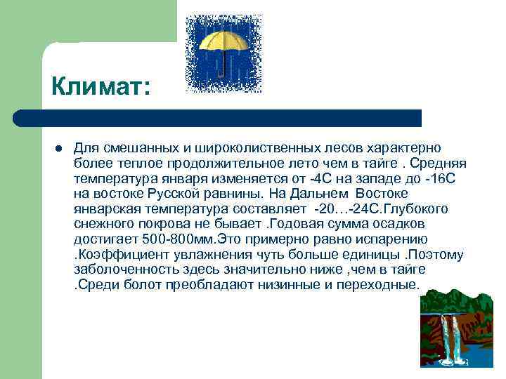 Климат: l Для смешанных и широколиственных лесов характерно более теплое продолжительное лето чем в