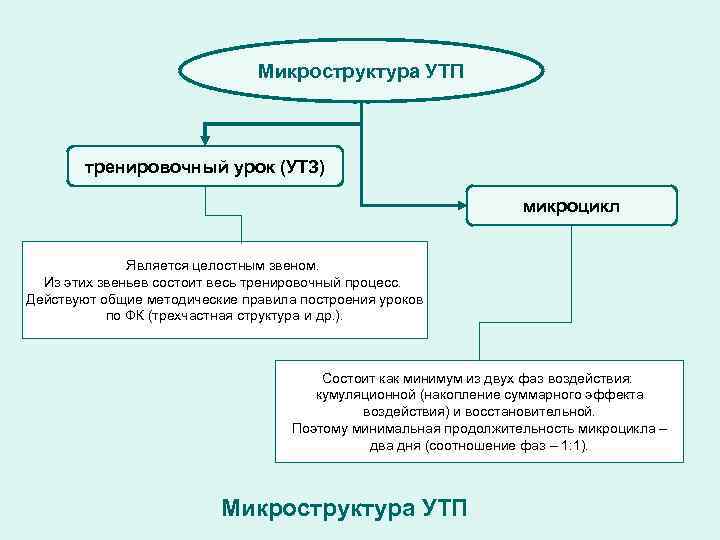 Типы микроциклов спортивной тренировки факторы и условия влияющие на их построение презентация