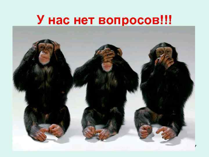 У нас нет вопросов!!! 37 