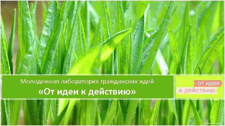 Молодежная лаборатория гражданских идей «От идеи к действию» 