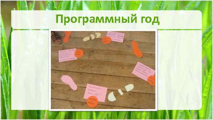 Программный год 