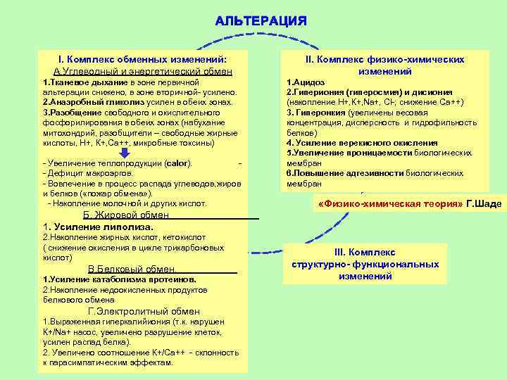 АЛЬТЕРАЦИЯ I. Комплекс обменных изменений: А. Углеводный и энергетический обмен 1. Тканевое дыхание в