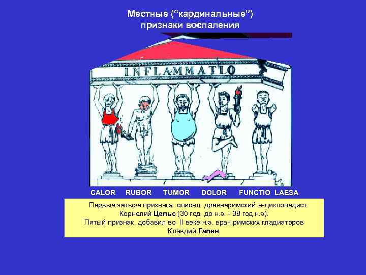 Местные признаки воспаления картинки