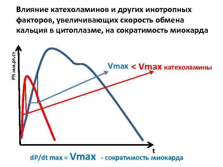 Ph мм. рт. ст Влияние катехоламинов и других инотропных факторов, увеличивающих скорость обмена кальция