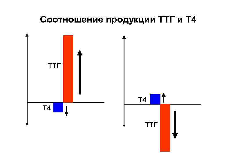 Соотношение продукции ТТГ и Т 4 ТТГ 