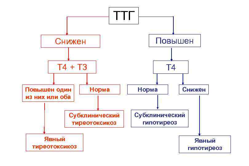 ТТГ Повышен Снижен T 4 + T 3 Повышен один из них или оба