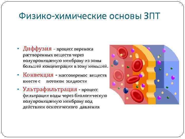 Физико-химические основы ЗПТ • Диффузия – процесс переноса растворенных веществ через полупроницаемую мембрану из