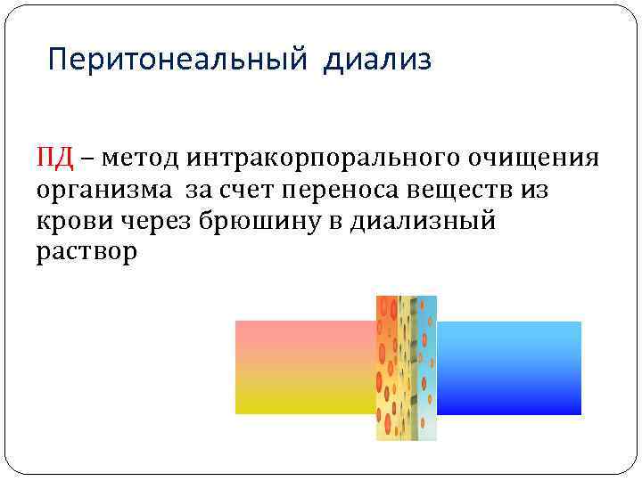 Перитонеальный диализ ПД – метод интракорпорального очищения организма за счет переноса веществ из крови