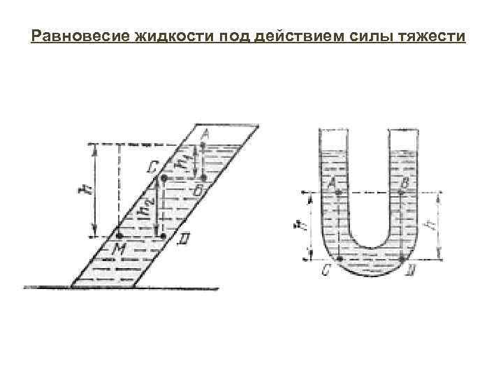 Равновесие жидкости под действием силы тяжести 