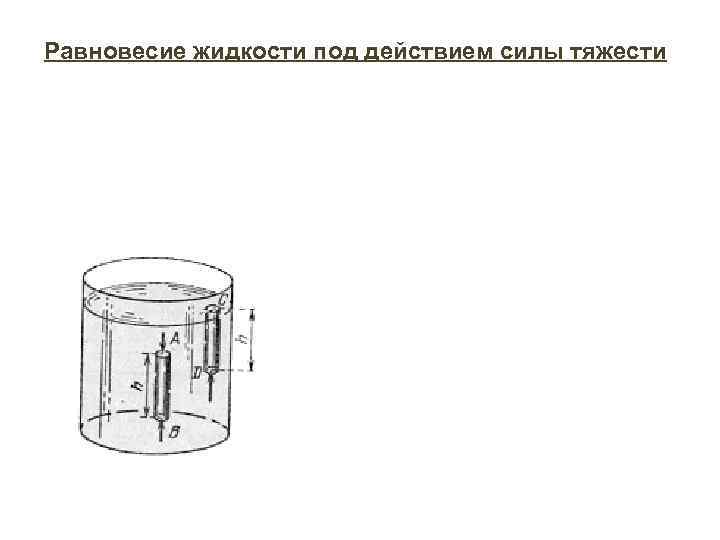 Равновесие жидкости под действием силы тяжести 