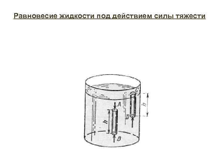 Равновесие жидкости под действием силы тяжести 