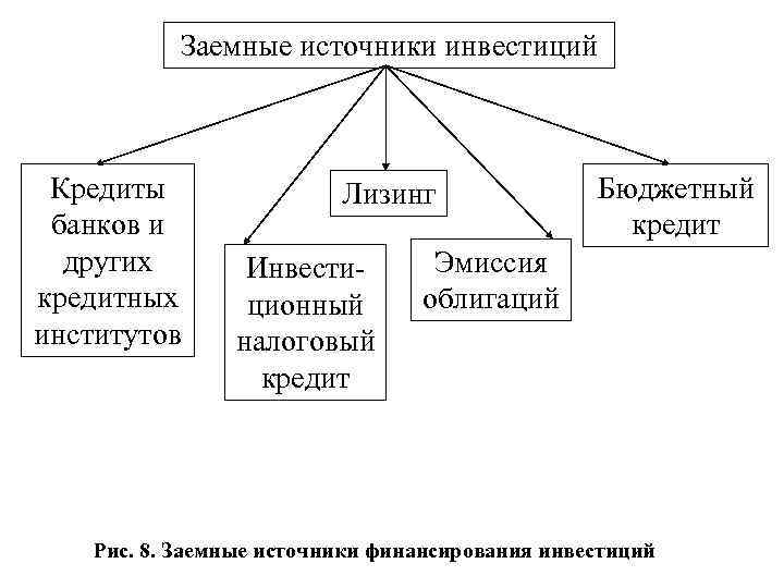 Заемные источники инвестиций Кредиты банков и других кредитных институтов Лизинг Инвестиционный налоговый кредит Бюджетный