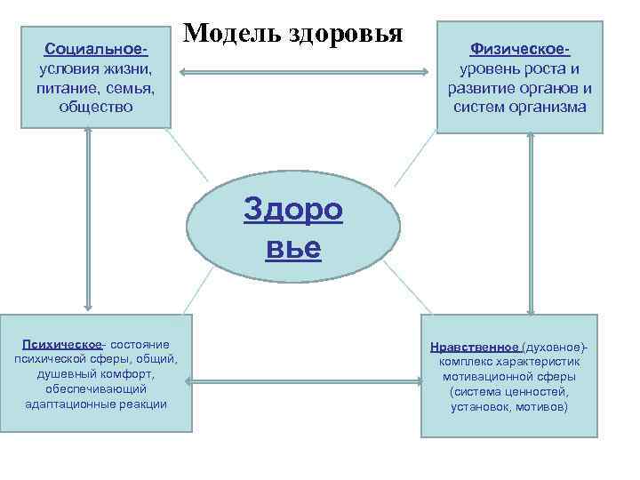 Модель здоровья