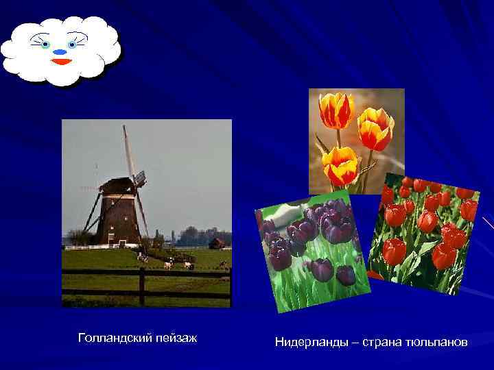Голландский пейзаж Нидерланды – страна тюльпанов 