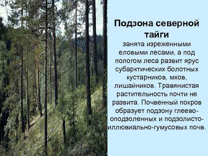 Для прослойки нижнего яруса