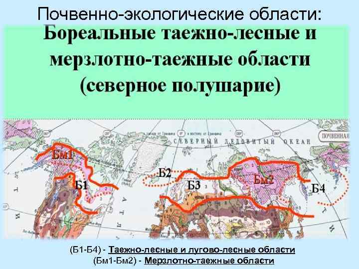 Почвенно-экологические области: (Б 1 -Б 4) - Таежно-лесные и лугово-лесные области (Бм 1 -Бм