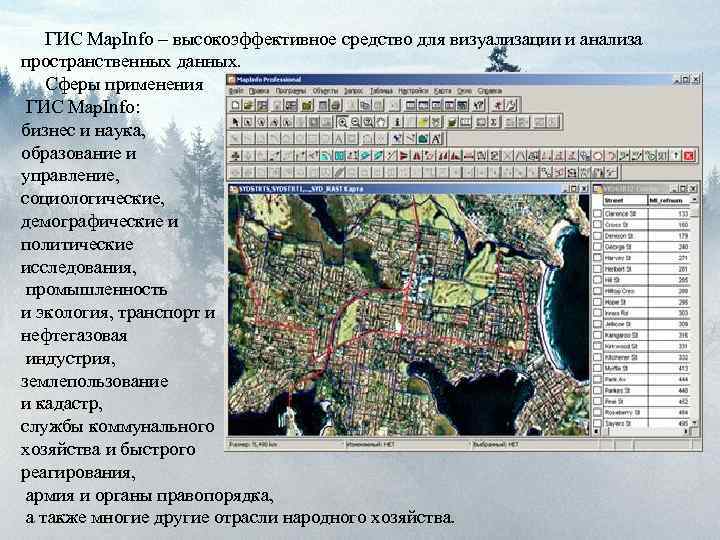 ГИС Map. Info – высокоэффективное средство для визуализации и анализа пространственных данных. Сферы применения