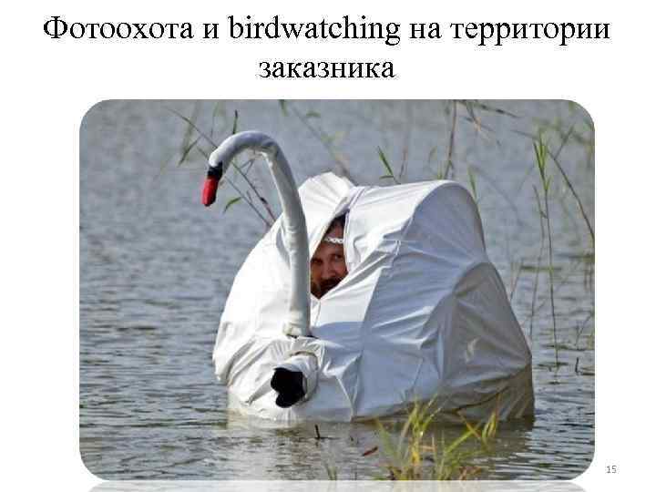 Фотоохота и birdwatching на территории заказника 15 
