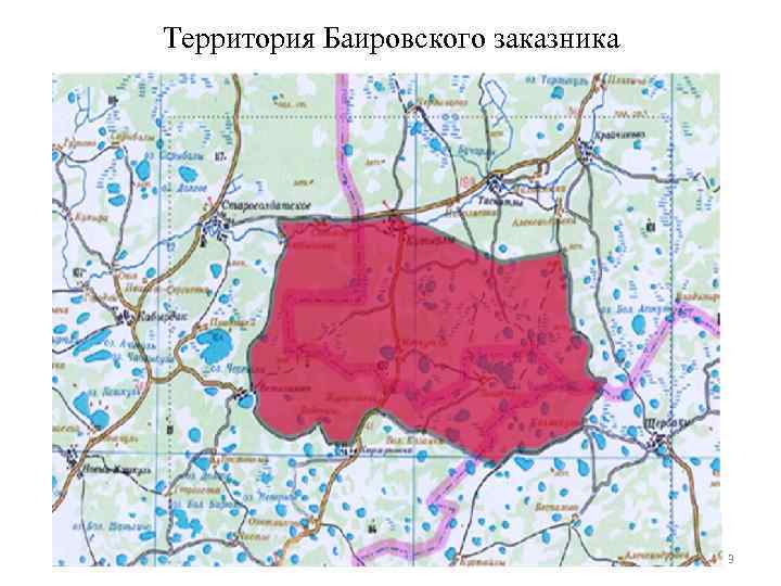 Территория Баировского заказника 3 