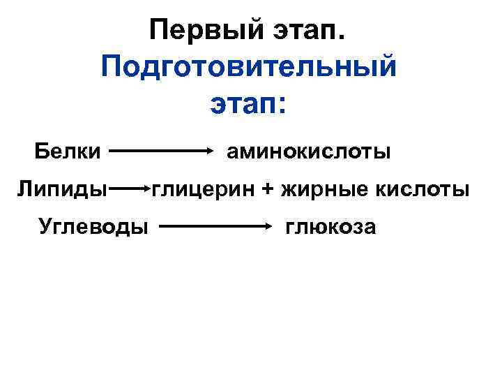 Первый этап. Подготовительный этап: Белки аминокислоты Липиды глицерин + жирные кислоты Углеводы глюкоза 