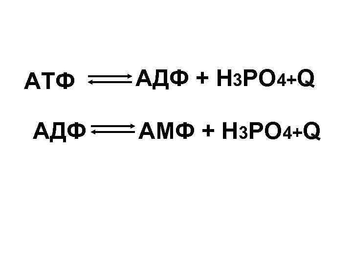 АТФ АДФ + Н 3 РО 4+Q АМФ + Н 3 РО 4+Q 