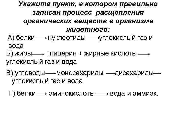 Укажите пункт, в котором правильно записан процесс расщепления органических веществ в организме животного: А)