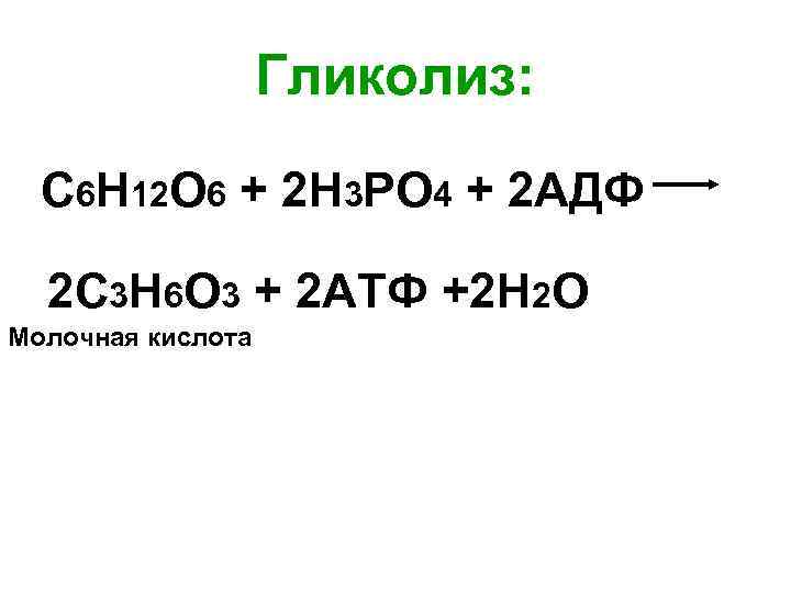 Гликолиз: С 6 Н 12 О 6 + 2 Н 3 РО 4 +