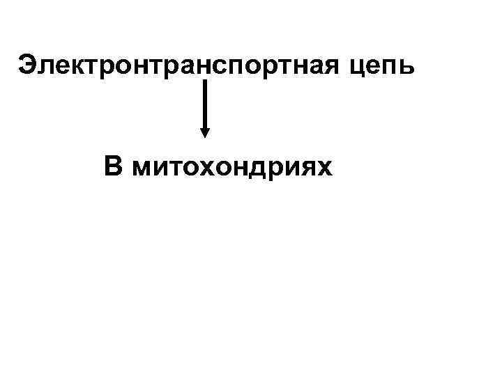 Электронтранспортная цепь В митохондриях 