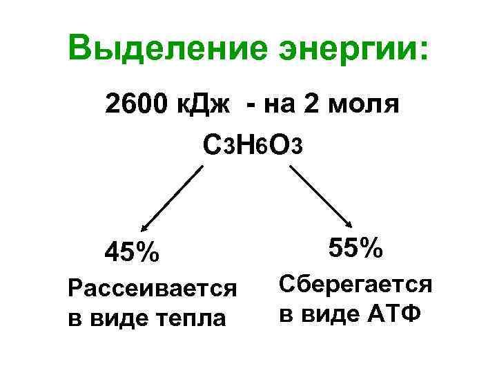 Выделение энергии: 2600 к. Дж - на 2 моля С 3 Н 6 О