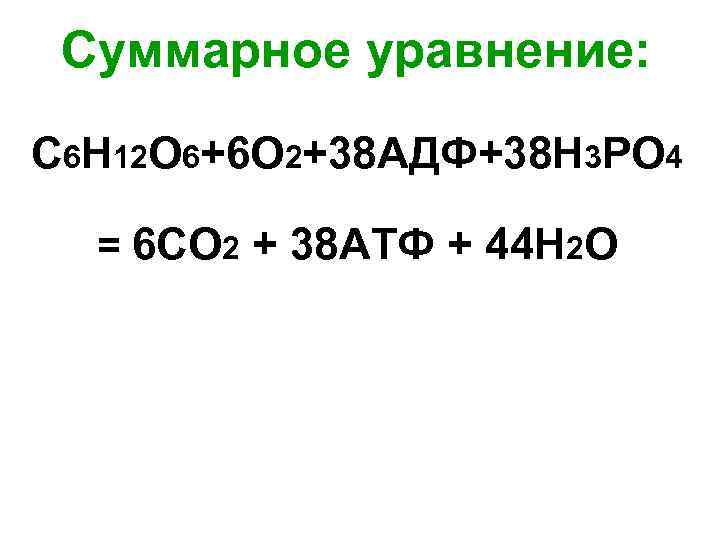 Суммарное уравнение: С 6 Н 12 О 6+6 О 2+38 АДФ+38 Н 3 РО