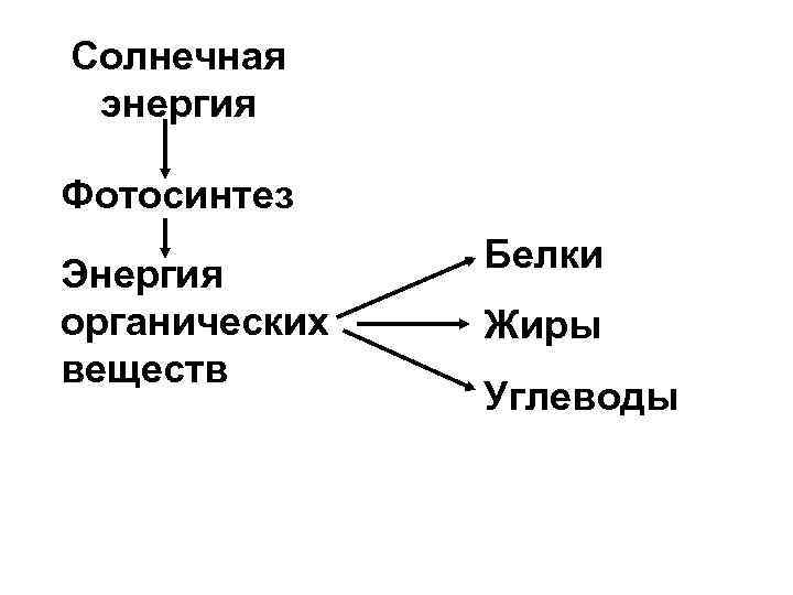 Солнечная энергия Фотосинтез Энергия органических веществ Белки Жиры Углеводы 